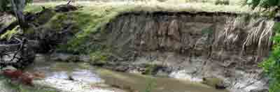 castle3