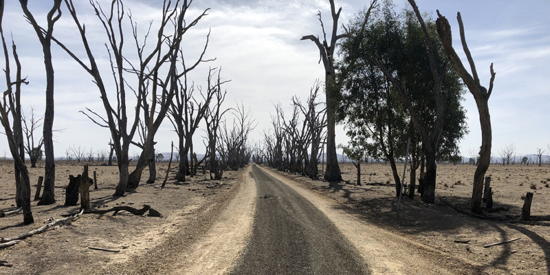 Winton Wetlands Indigenous Trail